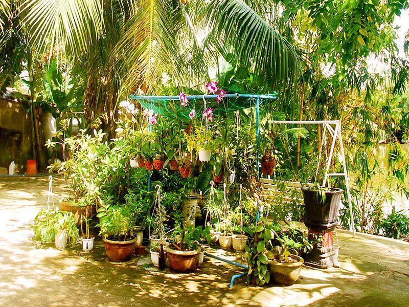 Peaceful River Homestay — фото 4