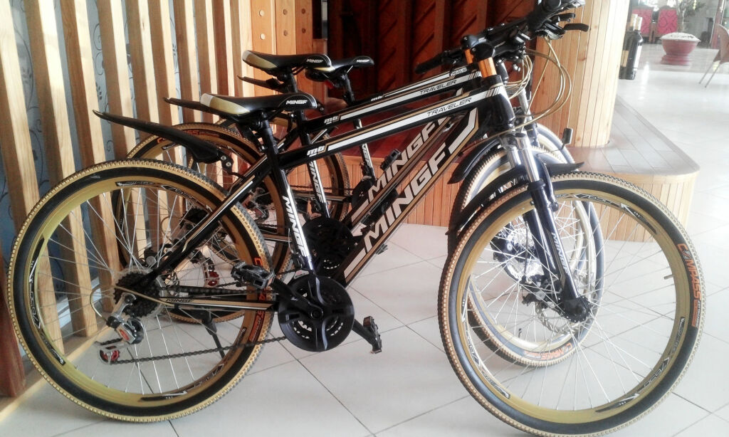 Далат: Ngoc Phat Dalat Hotel