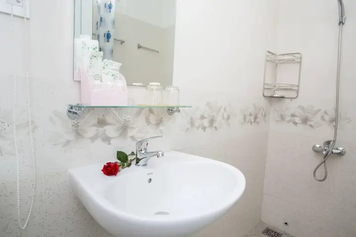 Хошимин: Camila Airport Hotel