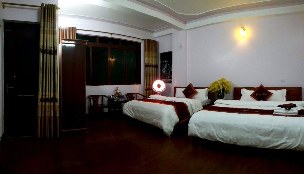 Шапа: Goldwin Hotel