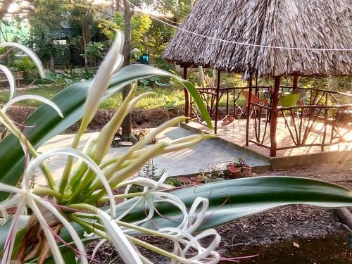 Митхо: Giao Diem Homestay