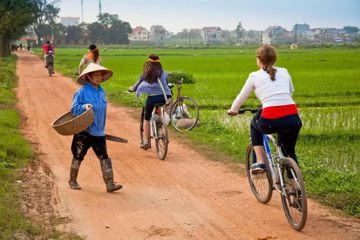 Хошимин: Saigon An Phu Homestay
