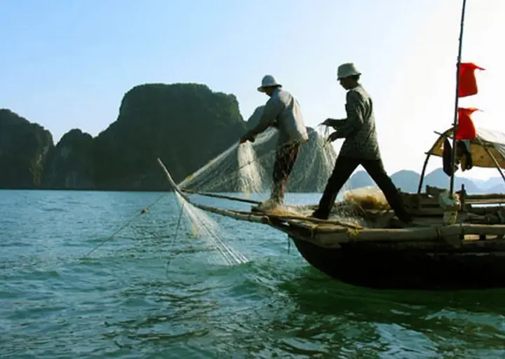 Халонг: Halong Victory Cruise
