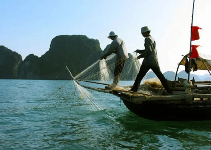 Халонг: Halong Victory Cruise