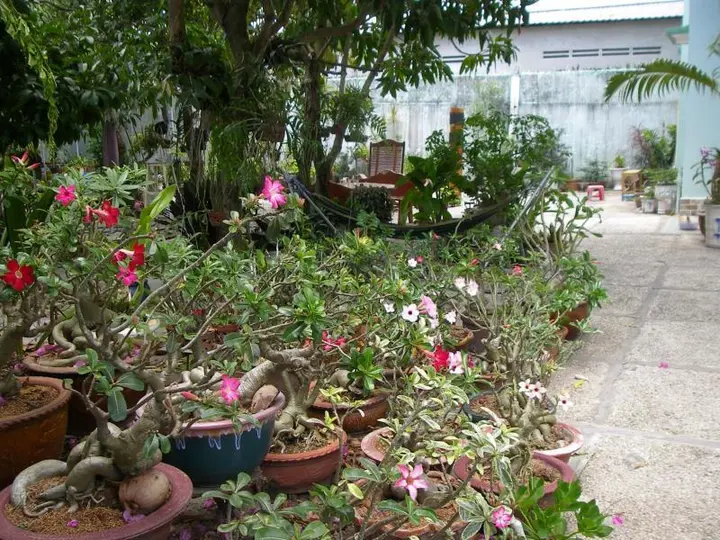 Кантхо: Mekong-Logis Guesthouse