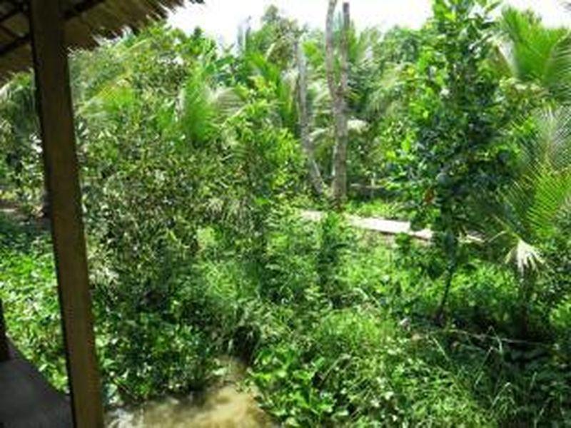 Кантхо: River Side Cottage