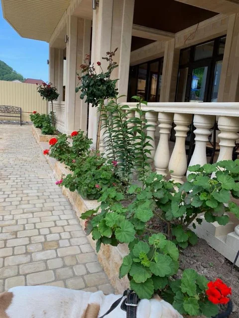 Агой: Guest House Chernomorye