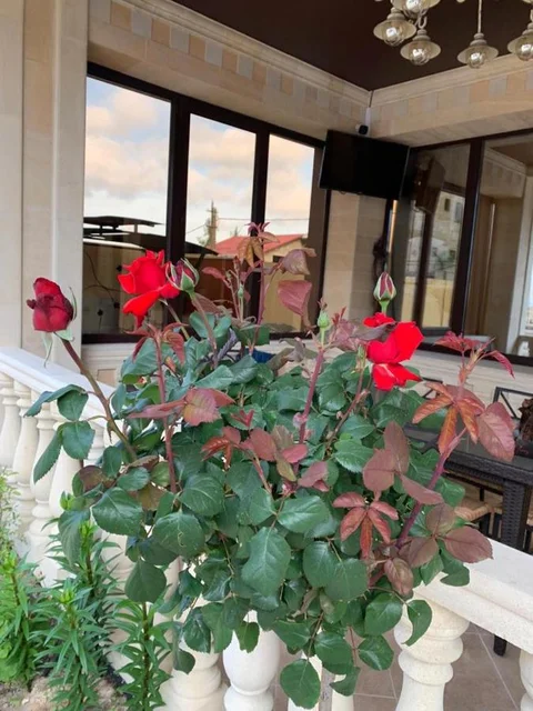 Агой: Guest House Chernomorye