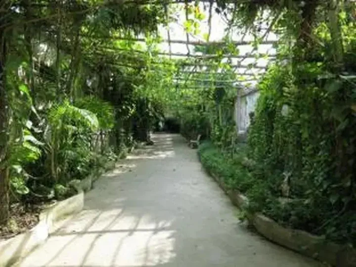 Кантхо: Ngoc Nho Guest House
