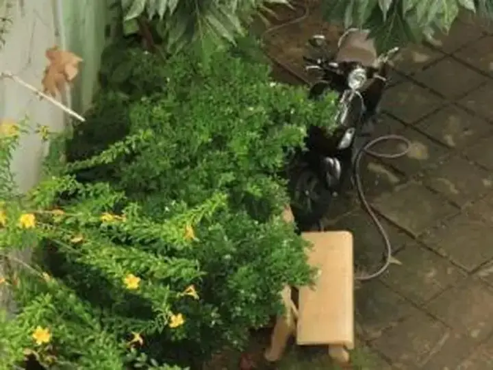 Кантхо: Dzung Villa Home Stay