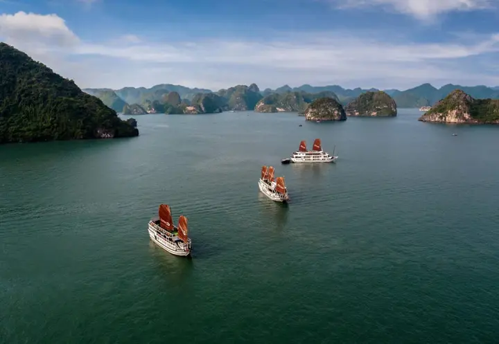 Халонг: Halong Carina Cruise
