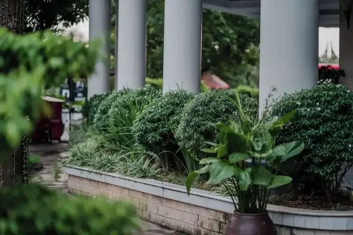 Тхайнгуен: May Plaza Hotel