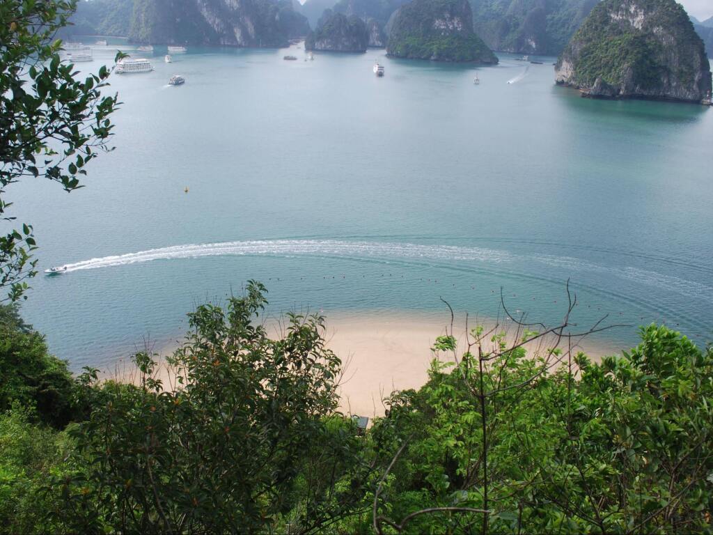 Халонг: Halong Dragon Cruise
