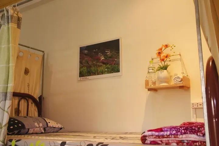 Дананг: Trip Danang Hostel