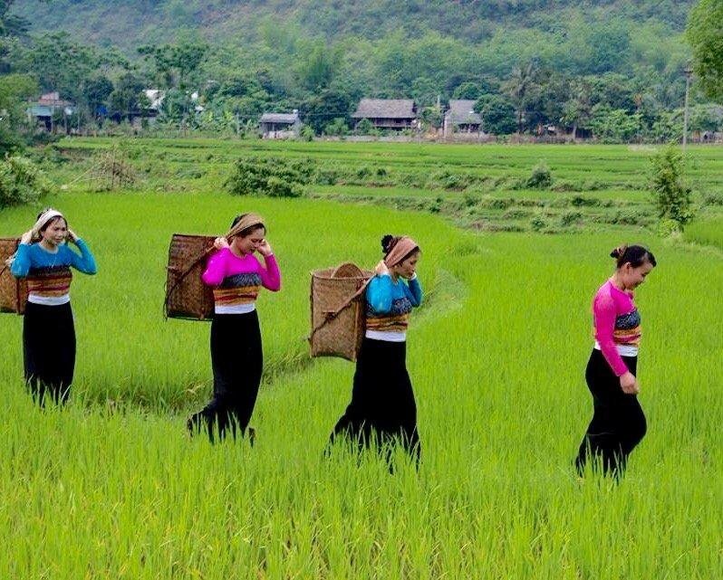 Маи-Чау: Eco Homestay - Hostel