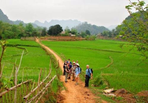 Маи-Чау: Eco Homestay - Hostel