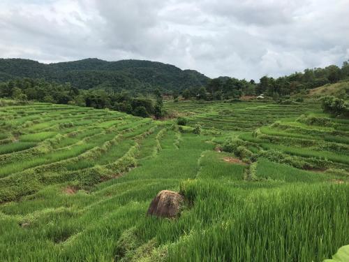 Маи-Чау: Eco Homestay - Hostel