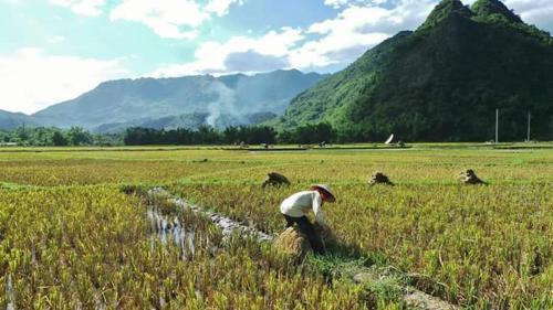 Маи-Чау: Eco Homestay - Hostel