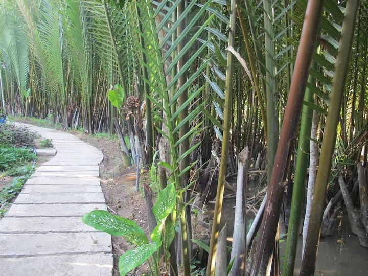 Бенче: Ben Tre Farm Stay