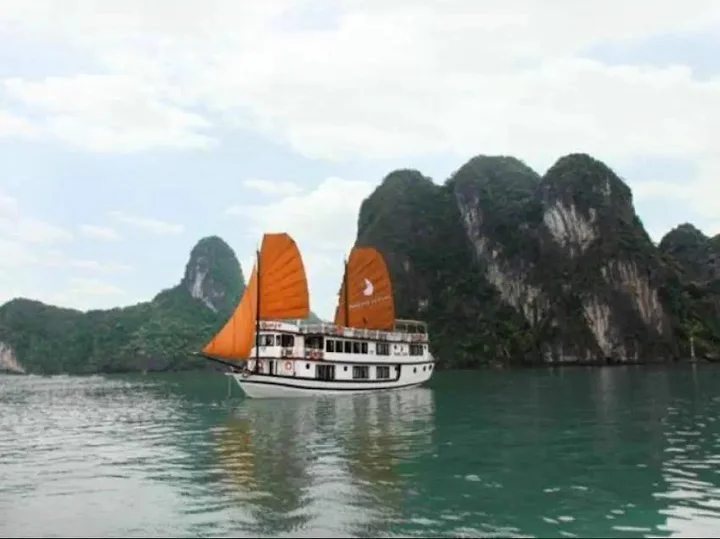 Халонг: Phoenix Luxury Cruise