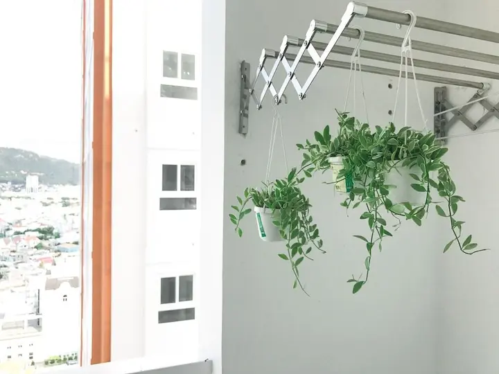 Вунгтау: Leo House