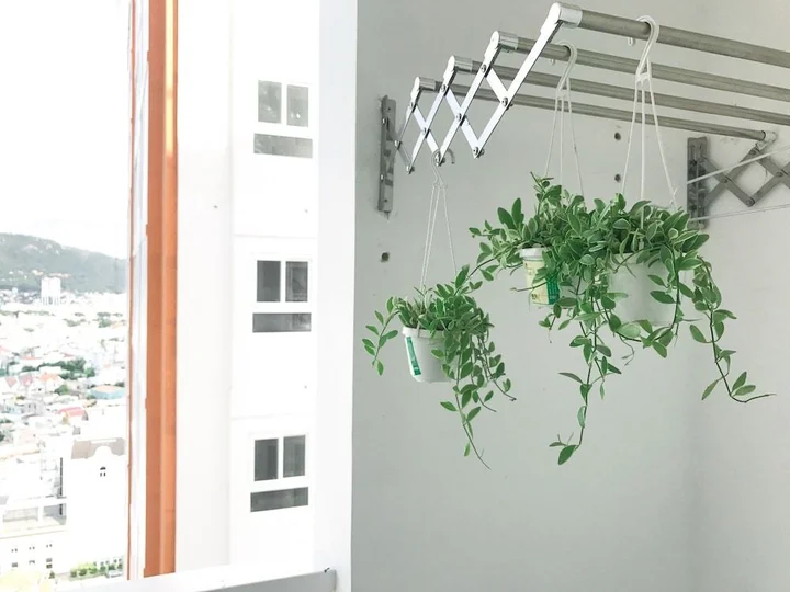 Вунгтау: Leo House