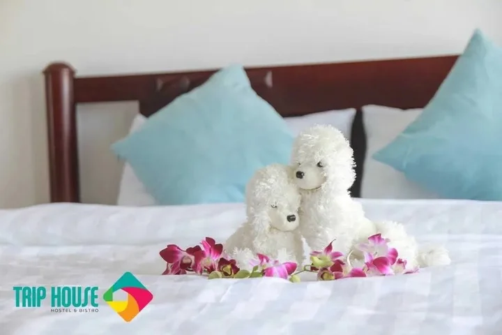 Дананг: TripHouse Hostel Da Nang