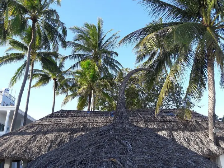 Фантхьет: Bien Dua Backpacker Hotel