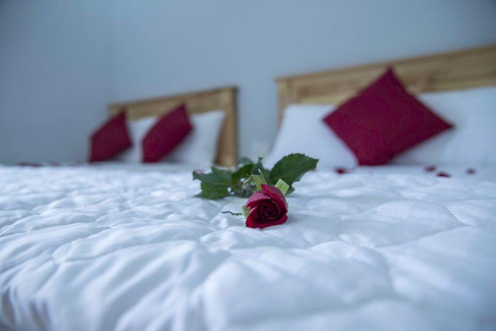 остров Фукуок: Lotus Phu Quoc Hotel