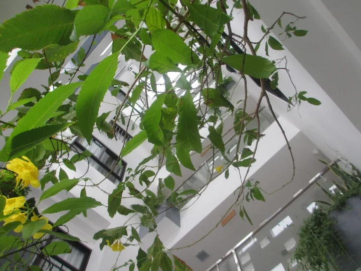 Нячанг: Ale Nhatrang Hotel