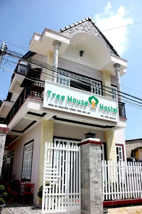 Далат: Tree House Hostel