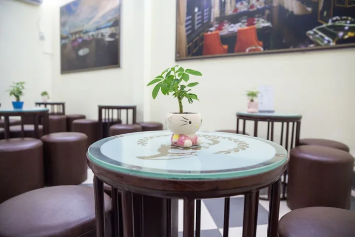 Халонг: Halong Athena Cruise