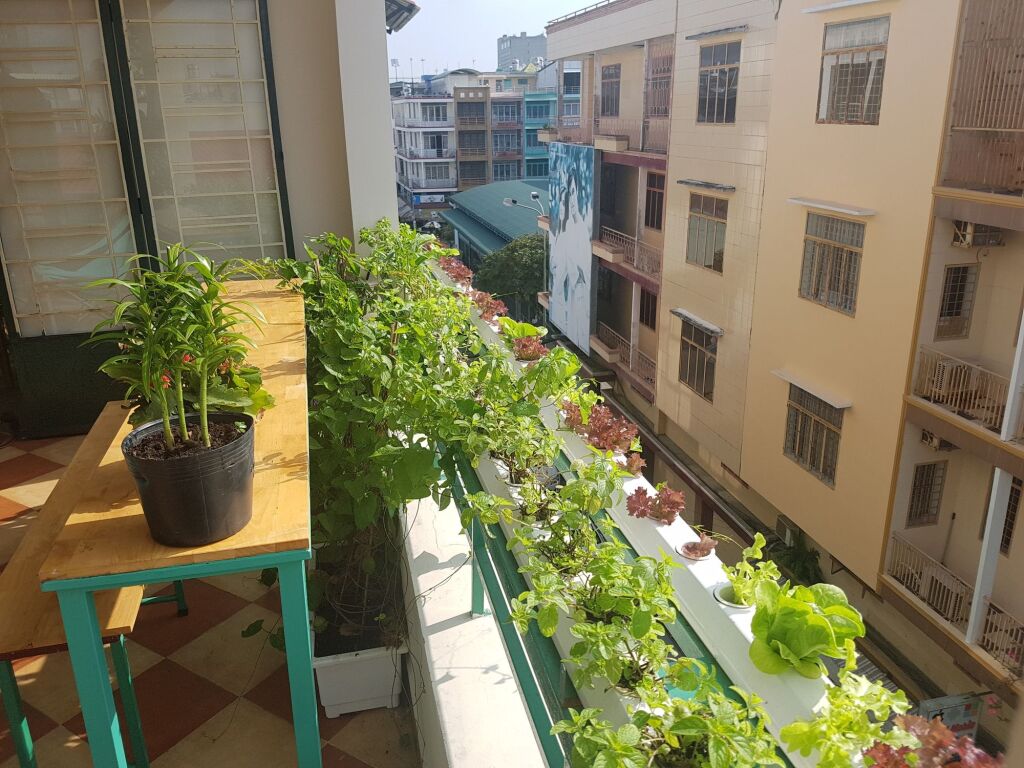Кантхо: Winter Spring Homestay