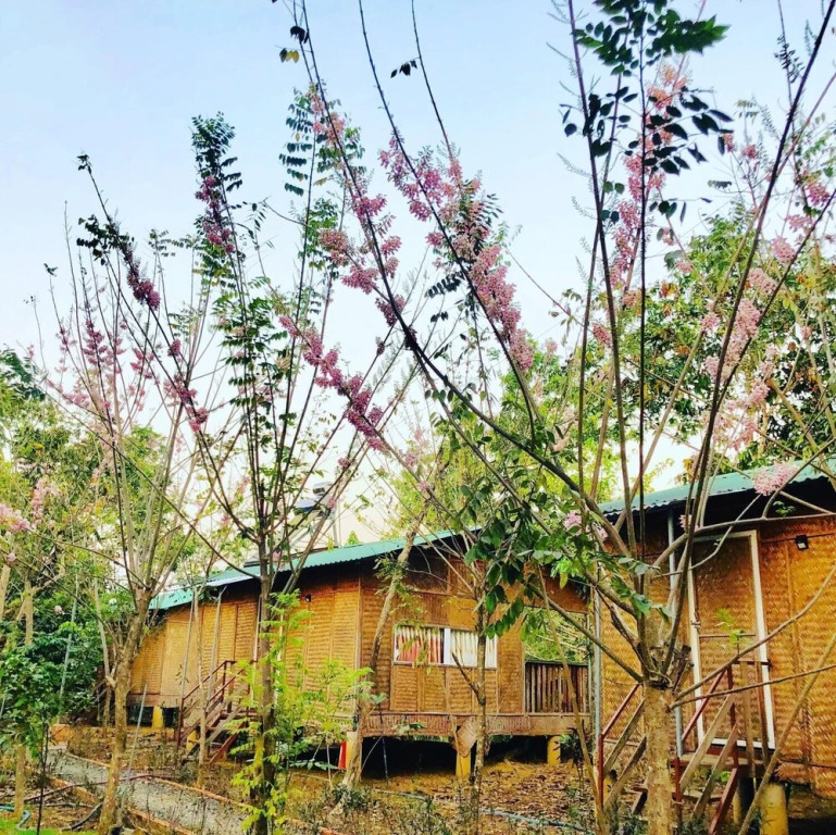 Да-Хуоай: Spirit Garden Guesthouse