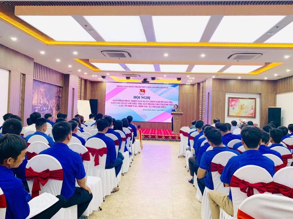 Донгхой: CKC Thien Duong Hotel