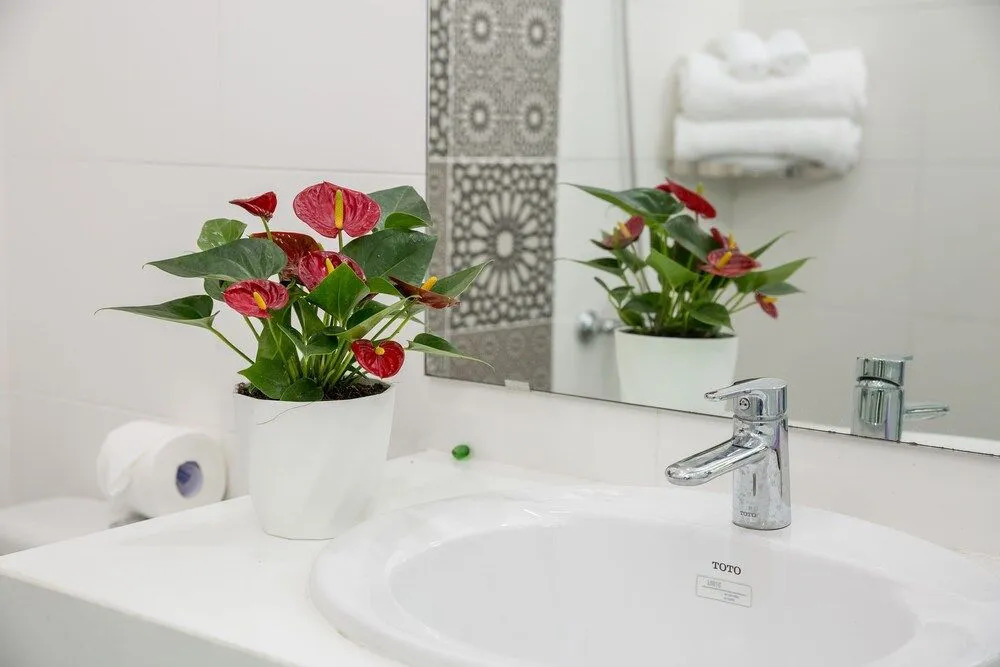 Дананг: Nanu Garden House Boutique