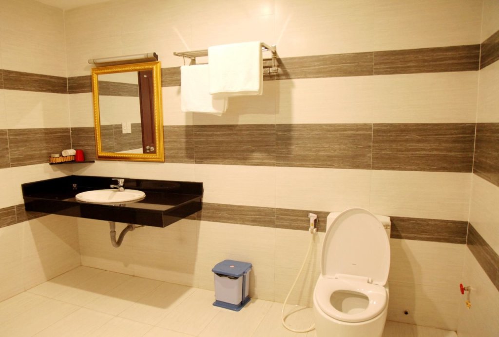Тхузаумот: Tran Long Binh Duong Hotel