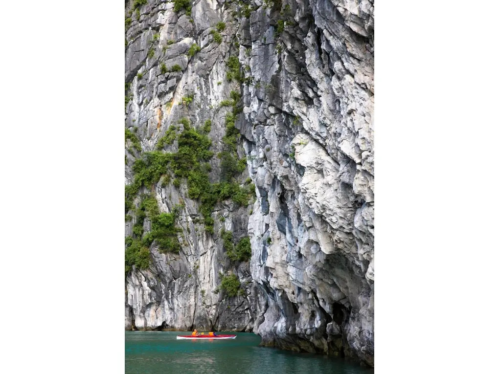 Халонг: Halong Moonlight Cruises