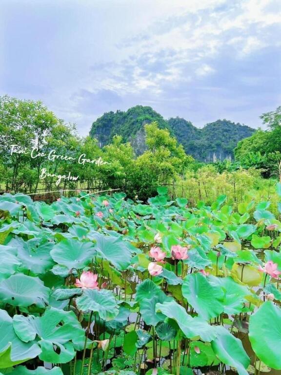 Хоа Лу: Tam Coc Green Garden Homestay