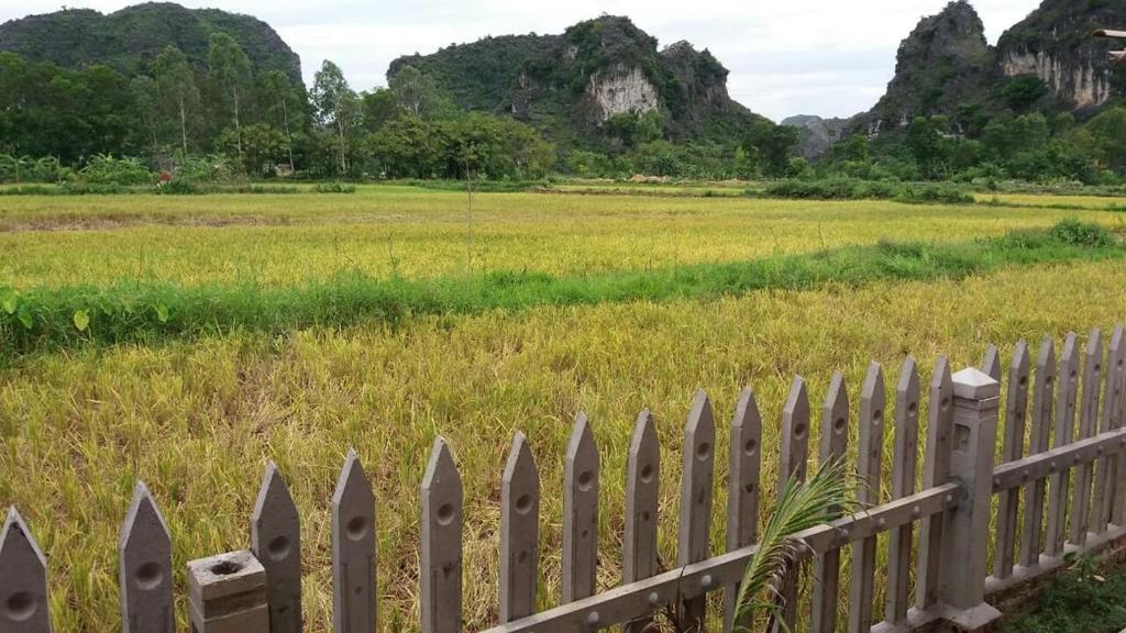 Хоа Лу: Tam Coc Green Garden Homestay