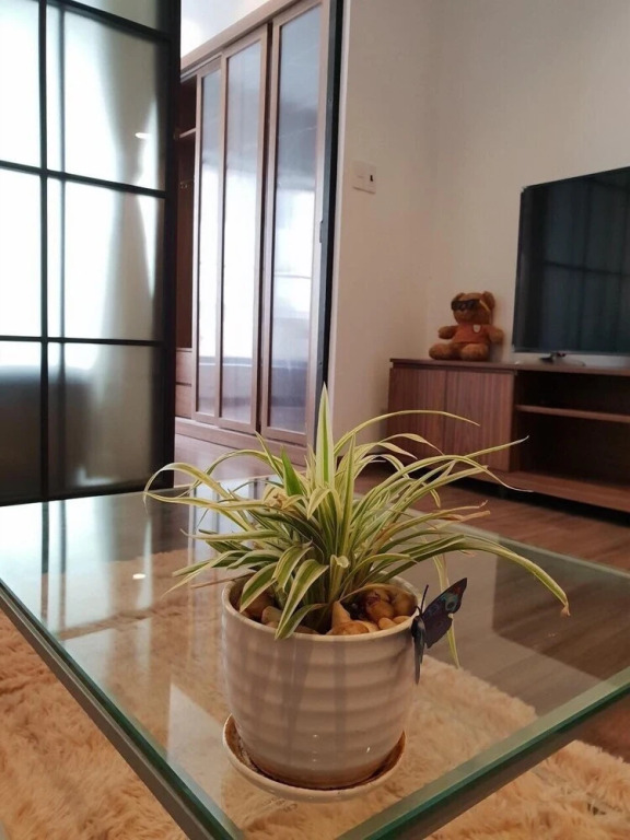 Хошимин: Min Apartment
