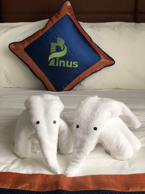 Далат: Pinus Hotel