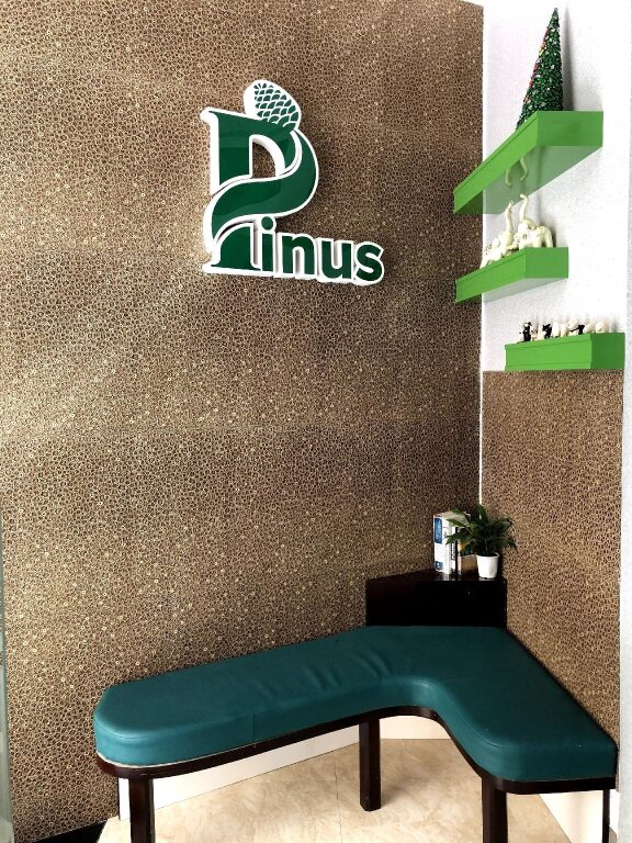 Далат: Pinus Hotel