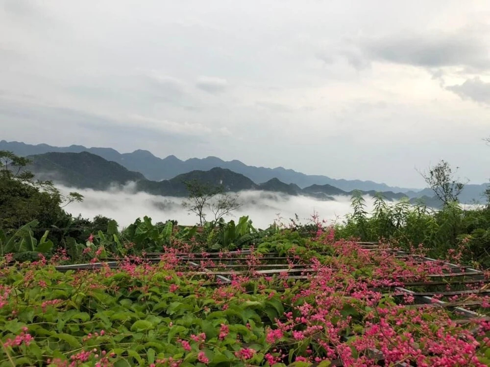 Маи-Чау: Pu Luong Eco Garden