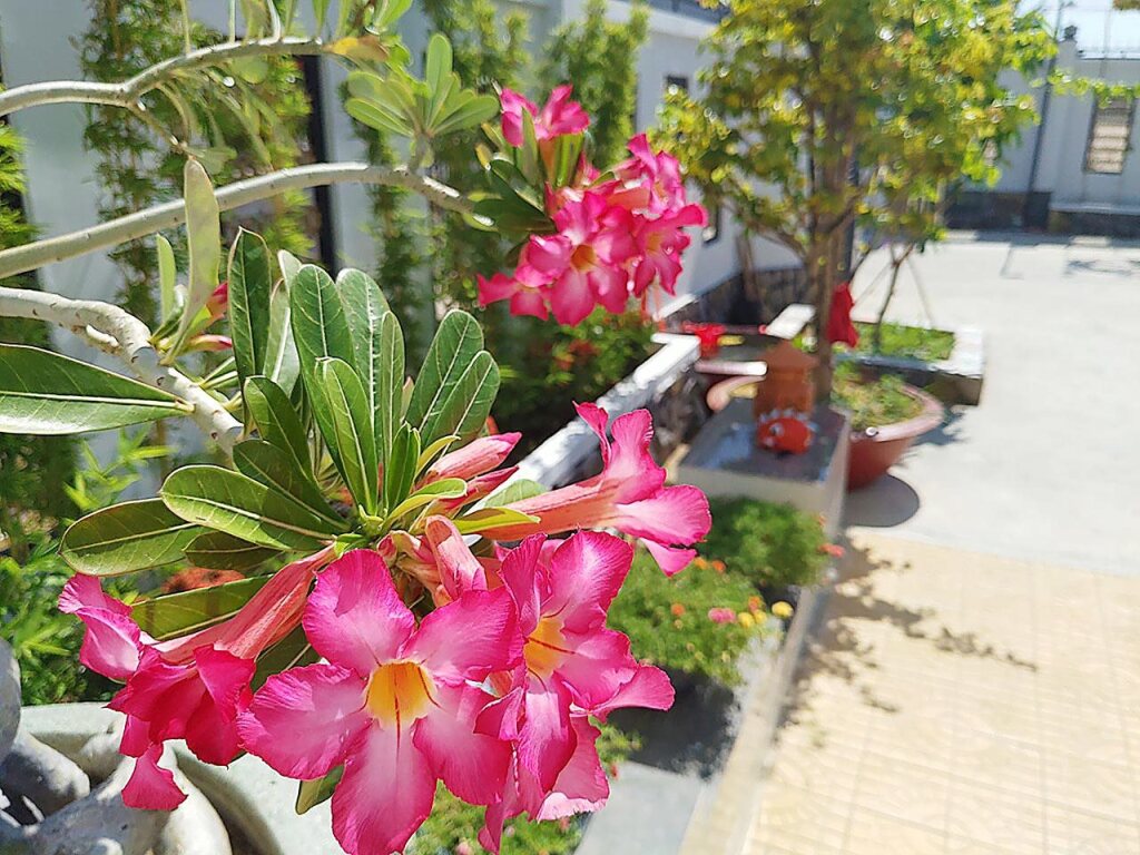 Фанранг - Тап Чам: Ninh Chu 2 Hotel
