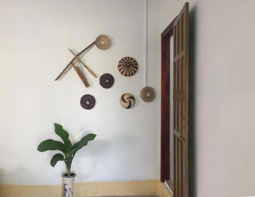 Нин Хай: Eco-Chi Homestay