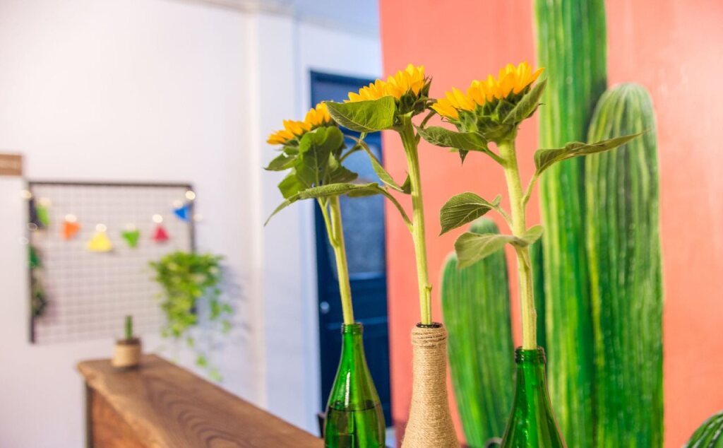 Дананг: Zone Danang Hostel