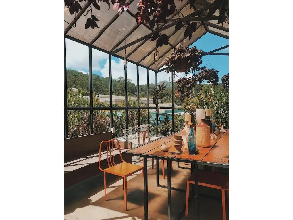 Далат: Lalaland Homestay - Hostel