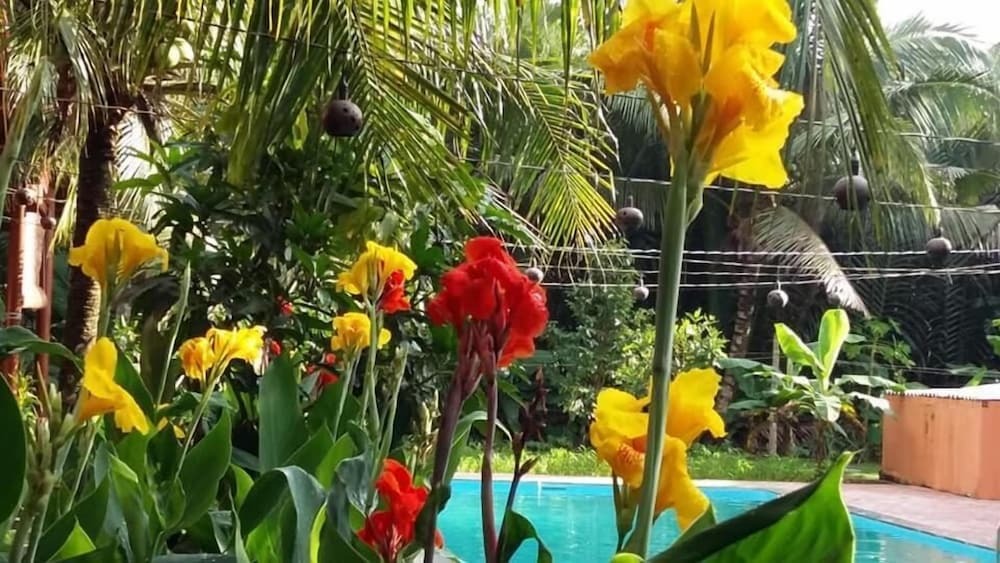 Митхо: Coconut Homestay