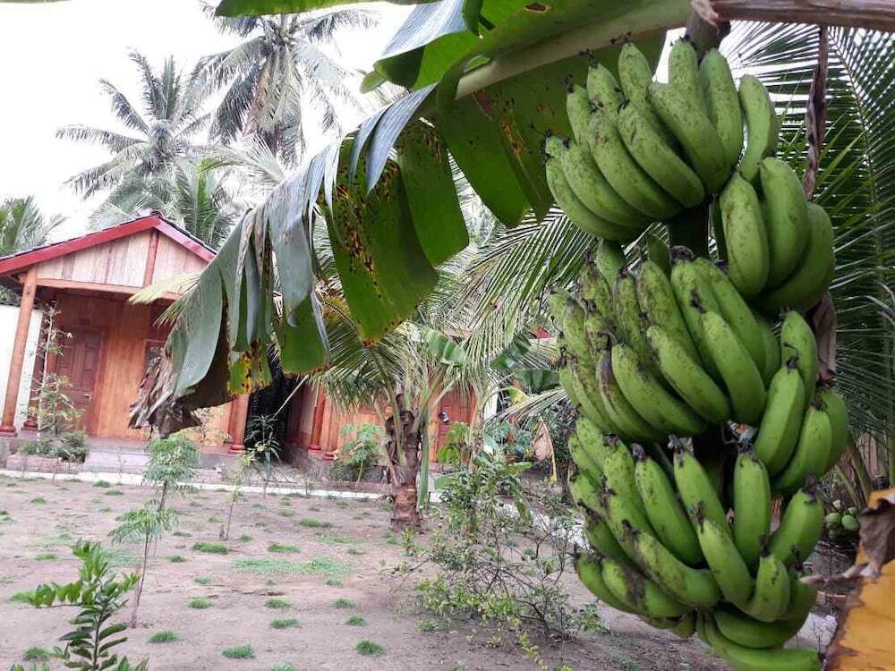 Митхо: Coconut Homestay